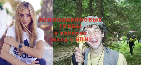 твердый Арсеньев