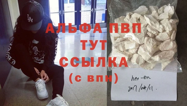 твердый Арсеньев