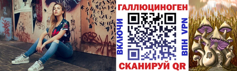 Галлюциногенные грибы GOLDEN TEACHER  где продают   Чаплыгин 
